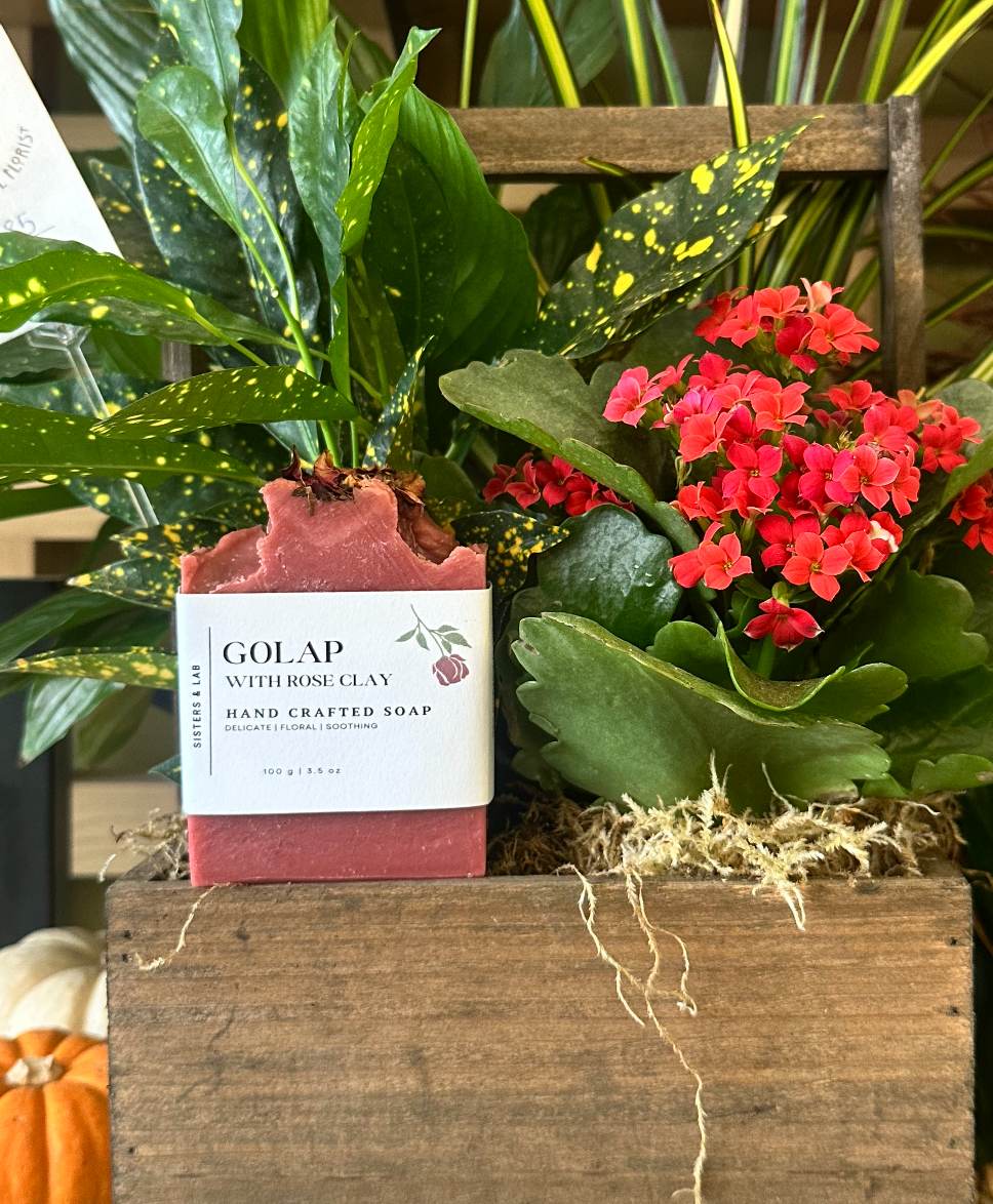 Golap – Sisters & Lab (3)