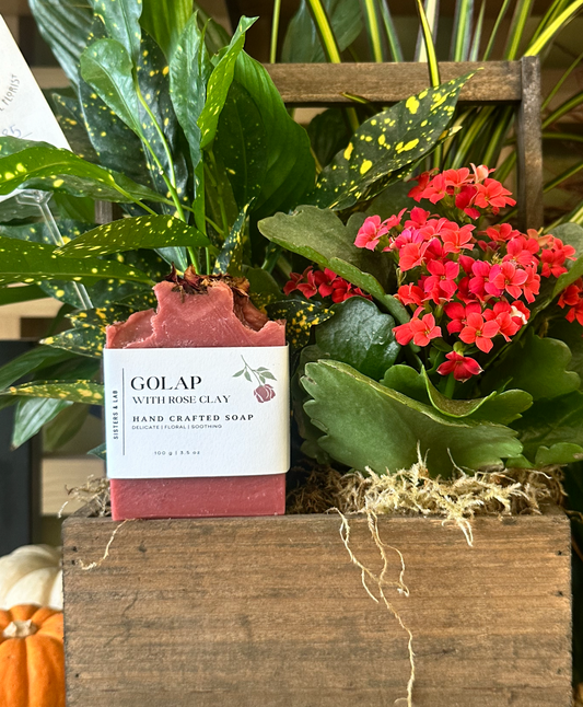 Golap – Sisters & Lab (3)