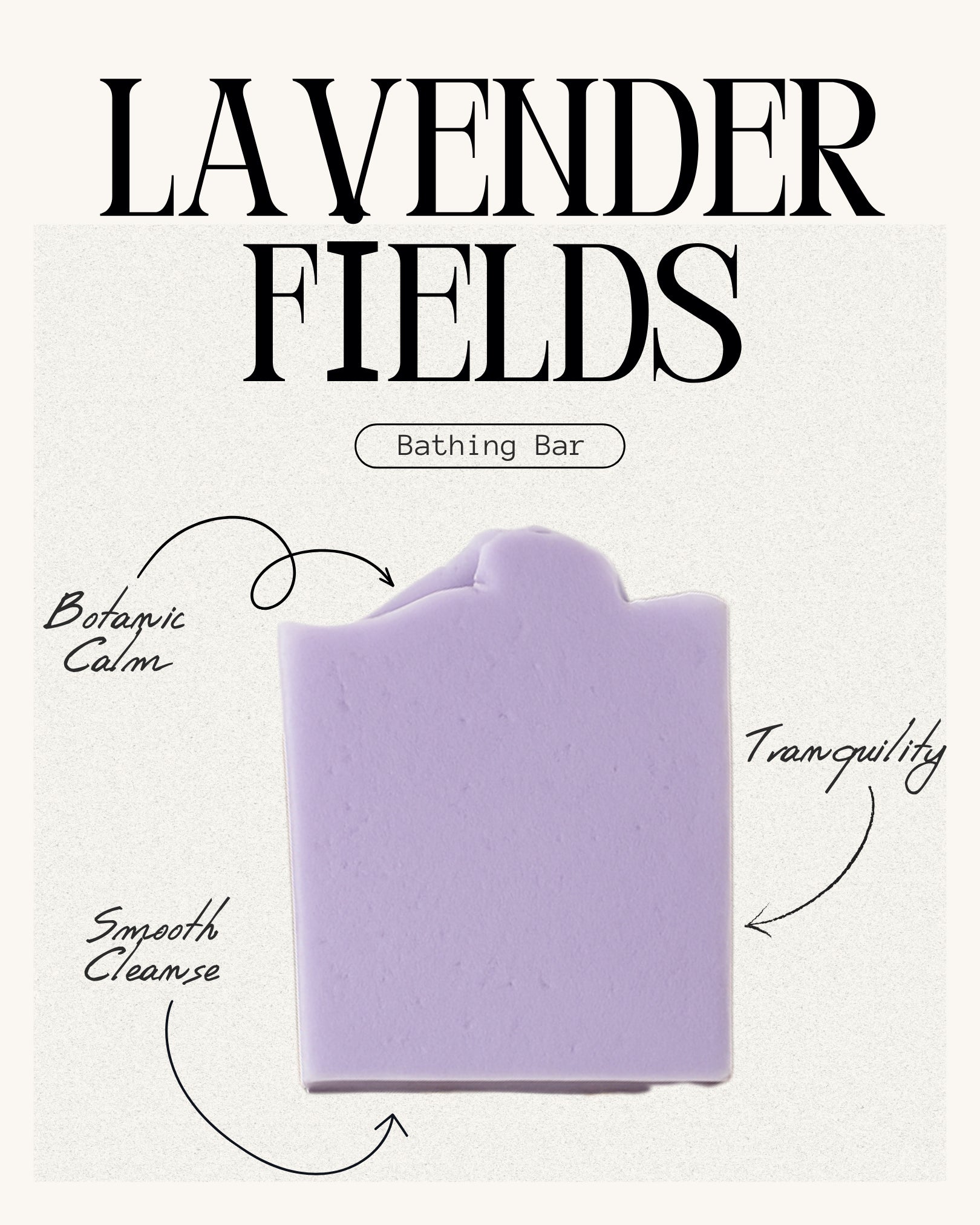 Lavender Fields – Sisters & Lab (2)